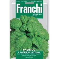 Basilico Foglie Di Lattuga - Basilicum Slabladig
