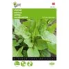 Zuring - Rumex Acetosa 1 Zuring - Rumex Acetosa -DCM Verkoopwinkel zuring rumex acetosa 1646840314 67 600
